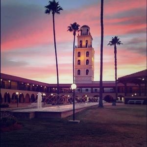 Meet your Posher, Gayle